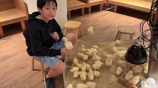 動画サムネイル