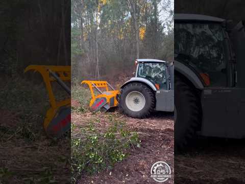 Forestry Mulcher BKF V2 in Action || Field Demo in France || #mulcher #shredder #shorts