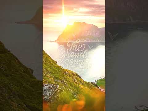 w.ill & Seawayz - Solstice #shorts