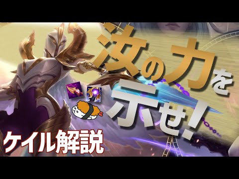 【ケイル vs ノクターン】スケール最強のキャラで全てを薙ぎ払え！！最強のケイル講座【DFM Evi解説】