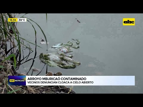 Arroyo Mburicaó contaminado
