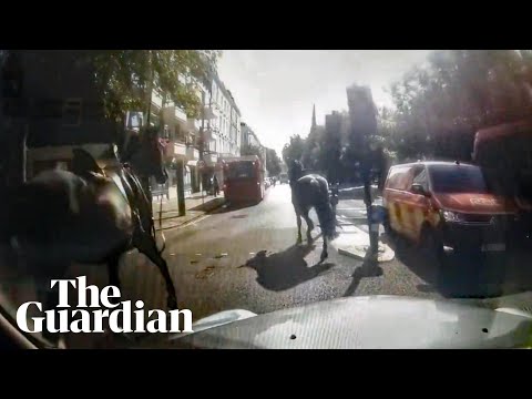 Military horse runs into a car bonnet in London after three break loose
