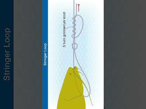 #Shorts How To Tie A Stringer Loop