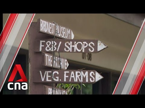 SingapoRediscovers vouchers: Merchants voice concerns over speed of payments, platform fees SingapoRediscovers vouchers: Merchants voice concerns over speed of payments, platform fees