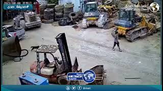 كلاب ضاله تهاجم رجل