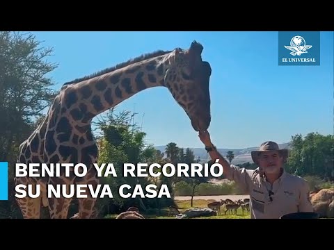 Benito ya salió a conocer a sus nuevos amigos y su nueva casa