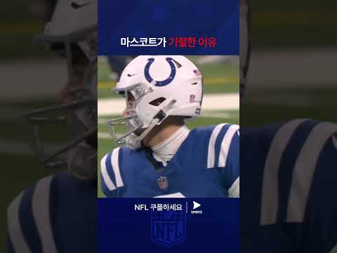 NFLㅣ휴스턴 텍산스 vs 인디애나폴리스 콜츠ㅣ격한 반응 보여주는 인디애나폴리스 마스코트 