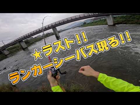 ★ラスト　シーバスランカー来たぞ!!!