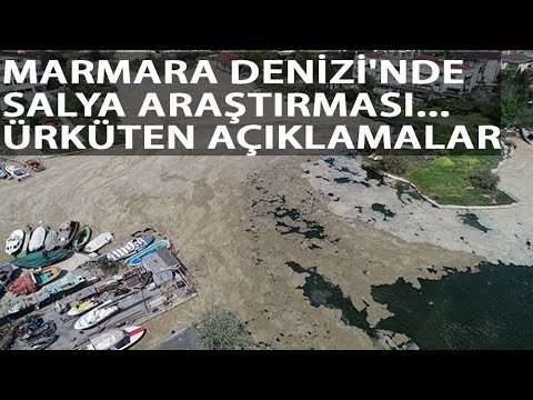 Doç. Dr. Muhammer Balcı: Bundan Sonrasında Dip Ölümü Bekliyoruz