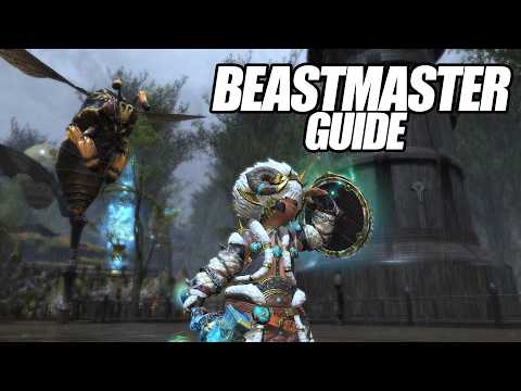 FFXIV - The Basics of Beastmaster & Doing Damage