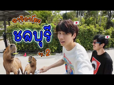 ปีชงคนง่วงหมามะพร้าว|Chonb