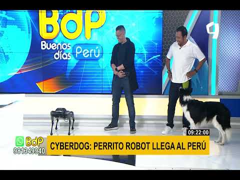 Potente, preciso y ágil: llega al Perú el perro robot Cyberdog de Xiaomi