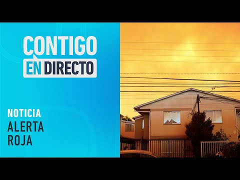 Incendio forestal de Lago Peñuelas: Casas quemadas en Quilpué - Contigo En Directo
