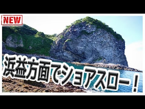 【ロックフィッシュ 海釣り】浜益ショアスローでウグイ釣る 北海道 fishing in japan【釣りLife】