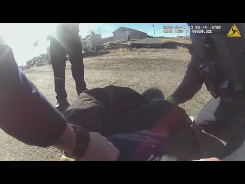 3 Castle Rock officers accused of excessive force
