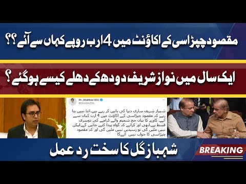 Kaveh Mousavi Aik Kiraye Ka Jasoos Hai | Shahbaz Gill Exposed Sharif Brothers