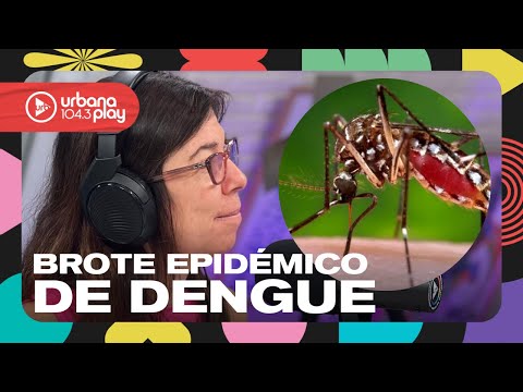 Dengue: brote epidémico, pico de casos y aclaraciones sobre la vacuna. Eduardo López en #DeAcáEnMás