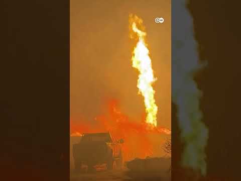 Forest fires raging in California | DW News