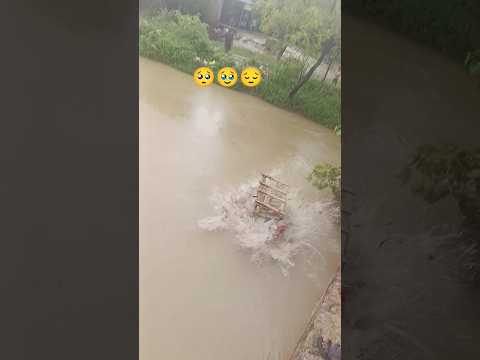 #navaratri bidai samaro 🥺😔🥹 #bidai kaise kari 🥺🥺🥹