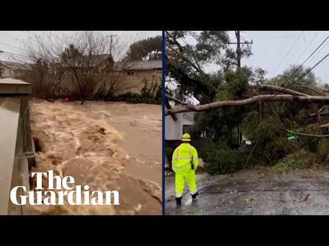 Heavy storms down trees and flood roads in California