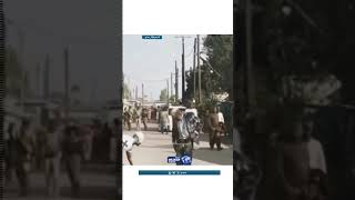 شر البلية ما يضحك