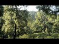 Salvemos al mundo Grupo Natura - YouTube