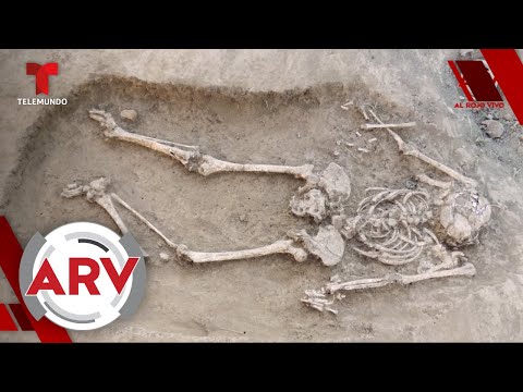 Hallan esqueletos de niños del siglo XVI con monedas en la boca | Al Rojo Vivo | Telemundo