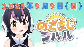 【めざましフルル⏰】みんな、ひさしぶり～！！ふるもーにん！🐧🌞(2025年9月9日）【#フンボルトペンギンちゃんねる／#けもV】