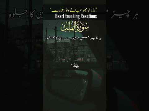 Surah Al-Mulk Ayat 3  | The Perfect Creation of Allah | Heart Touching Quran Recitation💖#surahyaseen