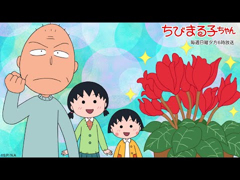 ちびまる子ちゃん　2025/1/19放送　第1463話「まる子、シクラメンを育てる」「たまちゃん、文集委員で苦労する」の巻アニメ予告