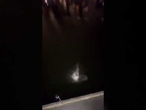 ¡Sorprendente! Un deportista se lanzó desde un quinto piso hacía un río y cayó intacto