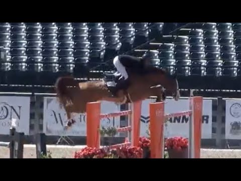 Cardozo 4 & Tanner Korotkin $32,000 FEI CSI3* Welcome Stake 1.50 🥇Tryon Int. October 2025