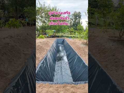 คลองเส้นที่ 5 เมื่อ 1 ปีที่แล้ว #canal #nature #คลองไส้ไก่ #เกษตรผสมผสาน #automobile #garden