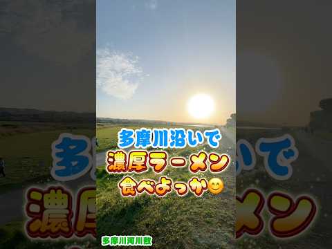 【東京新地図】多摩川沿いで濃厚ラーメン食べよ🍜【調布市】