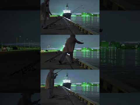 あれは魚ヒットの鈴かな🛎️ﾘﾝﾘﾝ #shorts