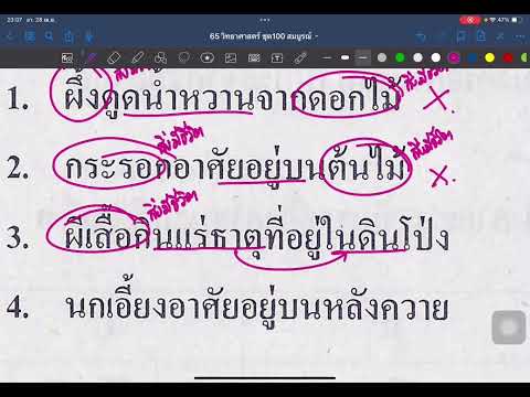 ติววิทย์วันละข้อกับครูเอก:ข้อท