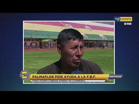 Palmaflor pide ayuda a la Federación Boliviana de Fútbol