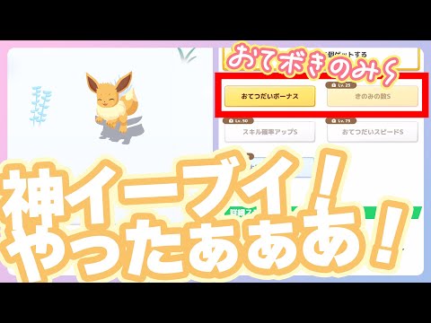 【寝顔発見ウィーク】神イーブイGET！！もちろんこの子はエーフィ！【ポケモンスリープ】