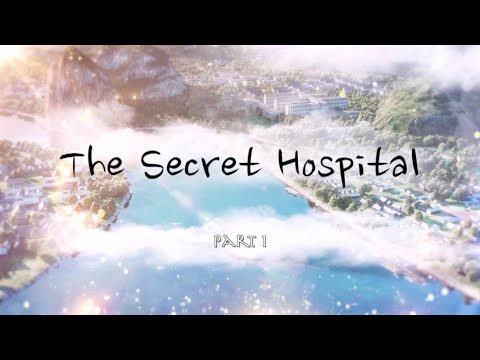 The secret hospital