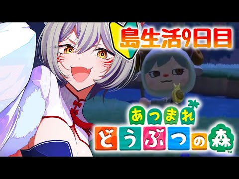 thumbnail_9ZxgMCPiL0Q