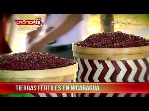 El Crucero se ve rebosante con producción de hortalizas y granos básicos - Nicaragua