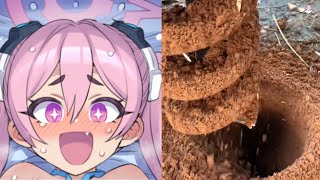 Koyuki Hole Digging (Blue Archive)