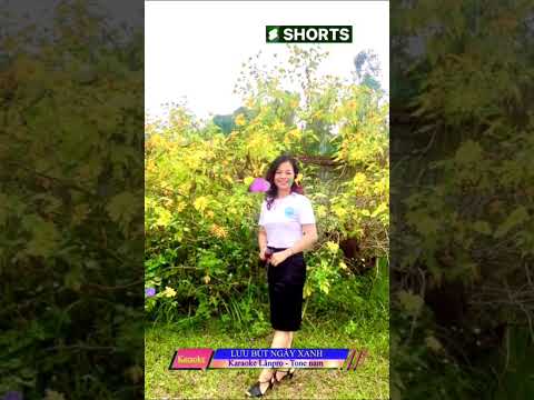 Nhạc #Shorts karaoke Lânpro - LƯU BÚT NGÀY XANH