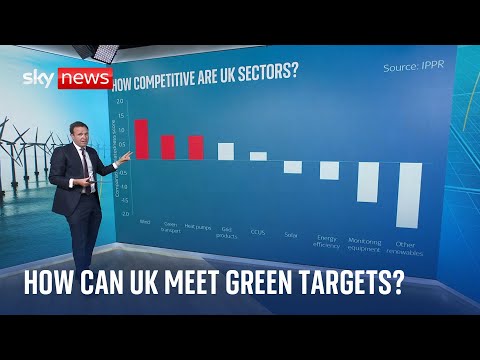 Can UK compete in green industrial revolution needed to reach net zero?