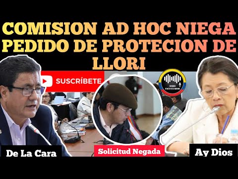 COMISION AD HOC N1EG4 PEDIDO DE PROTECION DE GUADALUPE LLORI BUSCABA IMPU.N1D4D RFE TV