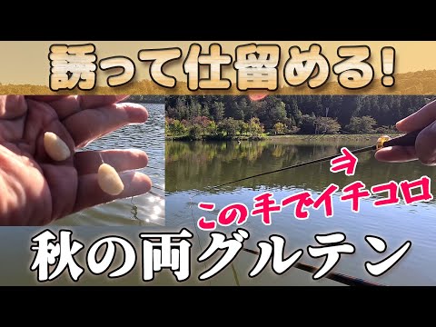 【エサを止めるな!】誘って仕留める秋の兩グルテン!長いグラスムクトップのストロークで季節變わりのヘラブナを狙います!