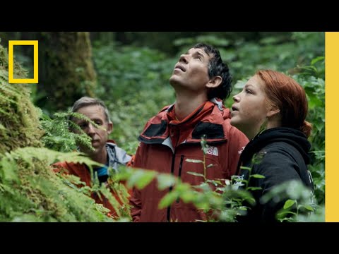 Alex Honnold and Tommy Caldwell visit the Tongass National Forest | The Devil’s Climb