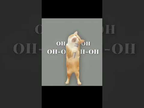 tere liye 🤧🎀🌸 #bmw #yt #car #bmwlife #love #edit #ytshorts #automobile #ftypシ#explore #drafting#foru