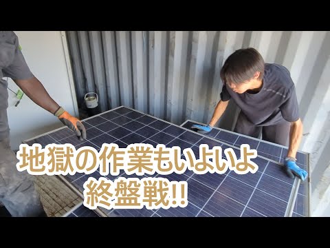 ティトと過ごす日常と荒行の最終局面、ゴールデンレトリバーの魅力を解説 サムネイル