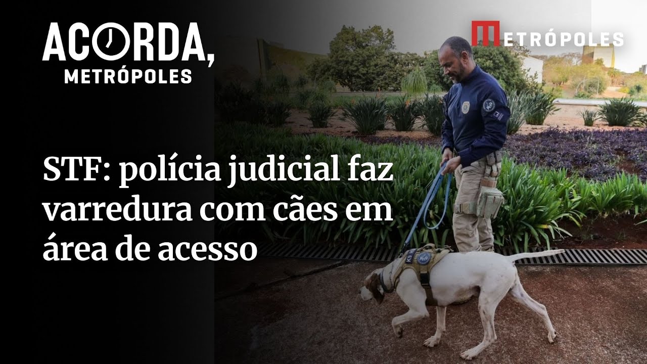 STF: polícia judicial faz varredura com cães em área de acesso